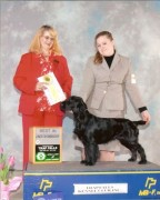 Best in Junior Showmanship 2007